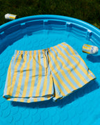 Barbet x Bather Trunk